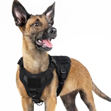 rabbitgoo Tactical Dog Harness for Small Heavy Duty Pet Harness with Handle NoPull Service Vest Small Breed Adjustable Military Dog Vest for Training Hunting Walking Black S