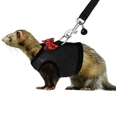 Rypet Animal Harness and Leash Soft Mesh Pet Harness With Safe Bell No Pull Comfort Padded Vest for Small Pet Black M
