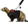 Rypet Animal Harness and Leash Soft Mesh Pet Harness With Safe Bell No Pull Comfort Padded Vest for Small Pet Black M