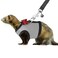 Rypet Small Animal Harness and Leash Soft Mesh Small Pet Harness with Safe Bell No Pull Comfort Padded Vest for Small Pet Gray S