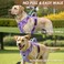 SlowTon Dog Harness for Large Dogs No Pull No Choke Pet Harness with 2 Leash Clips and Easy Control Vertical Handle Adjustable Soft Padded Dog VestPurple Large