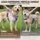 SlowTon Dog Harness for Large Dogs No Pull No Choke Pet Harness with 2 Leash Clips and Easy Control Vertical Handle Adjustable Soft Padded Dog VestPurple Large