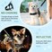 SlowTon No Pull Small Dog Harness and Leash Set Puppy Soft Vest Harness Neck Chest Adjustable Reflective Lightweight Harness AntiTwist Pet Lead Combo for Small Medium Dogs Black XS