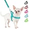 SlowTon No Pull Small Dog Harness and Leash Set Puppy Soft Vest Harness Neck Chest Adjustable Reflective Lightweight Harness AntiTwist Pet Lead Combo for Small Medium DogsBLFront ClipXXS
