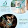 SlowTon No Pull Small Dog Harness and Leash Set Puppy Soft Vest Harness Neck Chest Adjustable Reflective Lightweight Harness AntiTwist Pet Lead Combo for Small Medium DogsBLFront ClipXXS