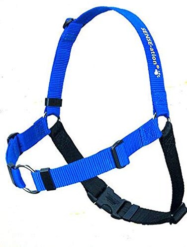 SENSE-ation Dog The Original Senseation NoPull Dog Training Harness Blue MediumLarge Wide