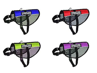 Doggie Stylz Therapy Dog mesh Vest Harness Cool Comfort Nylon Purchase Comes with 2 Reflective Therapy Dog in Training Patches Please Measure Dog Before Ordering Blue Large 1520