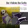 ThinkPet No Pull Harness Breathable Sport Harness with HandleDog Harnesses Reflective Adjustable for Medium Large DogsBackFront Clip for Easy Control M Neon Purple