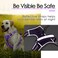 ThinkPet No Pull Harness Breathable Sport Harness with HandleDog Harnesses Reflective Adjustable for Medium Large DogsBackFront Clip for Easy Control M Neon Purple
