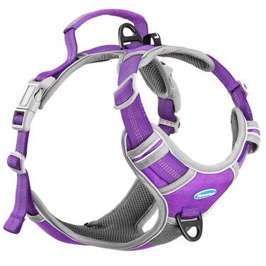 ThinkPet No Pull Harness Breathable Sport Harness with HandleDog Harnesses Reflective Adjustable for Medium Large DogsBackFront Clip for Easy Control M Neon Purple