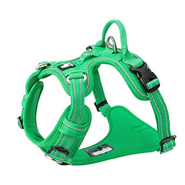 TRUE LOVE Dog Harness No Pull Nylon Reflective Pet Harness Adjustable Comfortable Control Stepin Brilliant Colors Truelove TLH56512 Grass Green