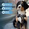 Best Pet Voyager Stepin Pet Harness All Weather Mesh Adjustable Step in Harness for Cats and Dogs by Supplies ArmyBlack Trim S