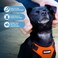 Best Pet Voyager Stepin Pet Harness All Weather Mesh Adjustable Step in Harness for Cats and Dogs by Supplies OrangeBlack Trim S