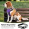 WINSEE Dog Harness No Pull Pet Harnesses with Dog Collar Adjustable Reflective Oxford Outdoor Vest FrontBack Leash Clips for Small Medium Large Extra Large Dogs Easy Control Handle for Walking