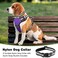 WINSEE Dog Harness No Pull Pet Harnesses with Dog Collar Adjustable Reflective Oxford Outdoor Vest FrontBack Leash Clips for Small Medium Large Extra Large Dogs Easy Control Handle for Walking
