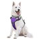 WINSEE Dog Harness No Pull Pet Harnesses with Dog Collar Adjustable Reflective Oxford Outdoor Vest FrontBack Leash Clips for Small Medium Large Extra Large Dogs Easy Control Handle for Walking
