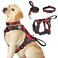 WINSEE Pet Harness Collar and Leash Set Allinone Reflective Dog Harness No Pull with Adjustable Buckles for Puppies Small Medium Large and ExtraLarge Dogs Large Red