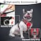 WINSEE Pet Harness Collar and Leash Set Allinone Reflective Dog Harness No Pull with Adjustable Buckles for Puppies Small Medium Large and ExtraLarge Dogs Large Red