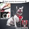 WINSEE Pet Harness Collar and Leash Set Allinone Reflective Dog Harness No Pull with Adjustable Buckles for Puppies Small Medium Large and ExtraLarge Dogs Large Red