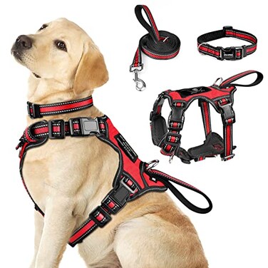 WINSEE Pet Harness Collar and Leash Set Allinone Reflective Dog Harness No Pull with Adjustable Buckles for Puppies Small Medium Large and ExtraLarge Dogs Large Red
