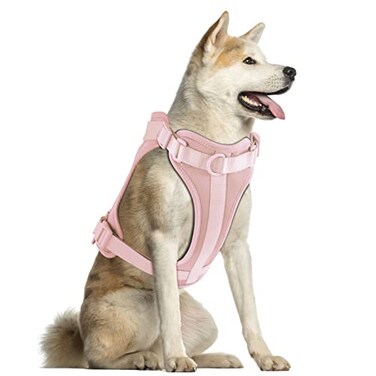 Wisedog No Pull Lightweight Dog Harness Adjustable Breathable Pet Vest Harness with Soft Comfortable Cushion for Small Medium Large Dogs L Gossamer Pink