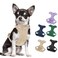 Wisedog No Pull Lightweight Dog Harness Adjustable Breathable Pet Vest Harness with Soft Comfortable Cushion for Small Medium Large Dogs S Sand Color