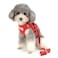 Zunea Small Dog Harness and Leash Set No Pull Adjustable Reflective Stepin Puppy Boy Girl Vest Harnesses Soft Corduroy Mesh Padded for Pet Dogs Cats Chihuahua Red S