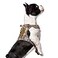 BUMBIN Tactical Dog Harness for Small Dogs No Pull Famous TIK Tok No Pull Puppy Harness Fit Smart Reflective Pet Walking Harness for Training Adjustable Dog Vest Harness with Handle Desert Camo S