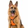 Puwihoe Large Dog Reflective No Pull Dog Harness with Handle Orange XL