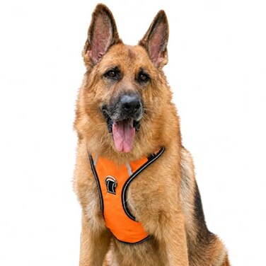 Puwihoe Large Dog Reflective No Pull Dog Harness with Handle Orange XL