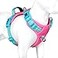 PHOEPET No Pull Dog Harness Unique Colors Reflective Adjustable Dog Vest with Soft Training Handle Metal Clips for Small Medium Large Dogs Pink Base Green StrapsXL