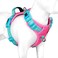 PHOEPET No Pull Dog Harness Unique Colors Reflective Adjustable Dog Vest with Soft Training Handle Metal Clips for Small Medium Large Dogs Pink Base Green StrapsXL