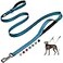 Fida 6 FT Heavy Duty Dog Leash with 2 Comfortable Padded Handles Traffic Handle Advanced Easy Snap Hook Reflective Walking Lead for Large Medium Small Breed Dogs Blue