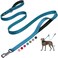 Fida 6 FT Heavy Duty Dog Leash with 2 Comfortable Padded Handles Traffic Handle Advanced Easy Snap Hook Reflective Walking Lead for Large Medium Small Breed Dogs Blue