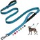 Fida 6 FT Heavy Duty Dog Leash with 2 Comfortable Padded Handles Traffic Handle Advanced Easy Snap Hook Reflective Walking Lead for Large Medium Small Breed Dogs Blue