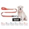 KRUZ PET Kruz Dog Leash Width 34 Length 4 FT Reflective Rope Lead with Soft Silicone Grip Click Lock Snap Durable Nylon Safety Lead with Locking Carabiner Clip Foam Handle Orange Medium