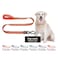 KRUZ PET Kruz Dog Leash Width 34 Length 4 FT Reflective Rope Lead with Soft Silicone Grip Click Lock Snap Durable Nylon Safety Lead with Locking Carabiner Clip Foam Handle Orange Medium