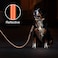 azuza Durable Padded Dog Leash and Collar SetReflective Strip Extra Safe and Comfy for Large Dogs Orange