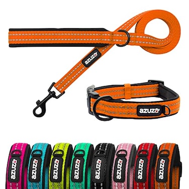 azuza Durable Padded Dog Leash and Collar SetReflective Strip Extra Safe and Comfy for Large Dogs Orange