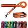 azuza Durable Padded Dog Leash and Collar SetReflective Strip Extra Safe and Comfy for Large Dogs Orange