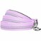 Blueberry Pet 3M Reflective Pastel Color Dog Leash with Soft Comfortable Handle 5 ft x 34 Lavender Medium Leashes for Dogs