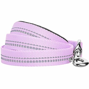 Blueberry Pet 3M Reflective Pastel Color Dog Leash with Soft Comfortable Handle 5 ft x 34 Lavender Medium Leashes for Dogs