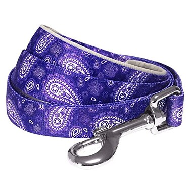 Blueberry Pet 5 Colors Paisley Flower Print Dog Leash with Soft Comfortable Handle 5 ft x 34 Violet Medium Leashes for Dogs
