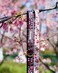 Blueberry Pet 9 Patterns Cherry Garden Black Dog Leash 5 ft x 34 Medium Leashes for Dogs