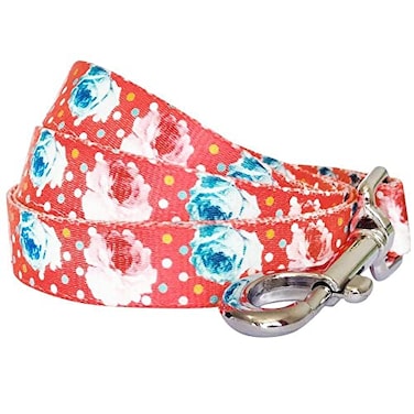 Blueberry Pet 9 Patterns Durable Spring Scent Inspired Rose and Polka Dot Print Brink Pink Dog Leash 5 ft x 58 Small Leashes for Dogs