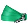 Blueberry Pet Essentials Emerald Dog Leash for XSmall 5 38 Dogs Heavy Duty Nylon Lead Lightweight Puppy Cat Leash for Walking Training