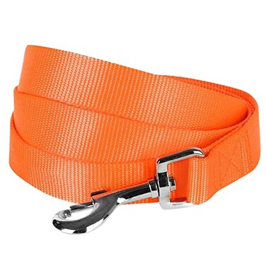 Blueberry Pet Essentials Florence Orange Dog Leash for Large 4 1 Dogs Heavy Duty Nylon Lead Lightweight Puppy Cat Leash for Walking Training