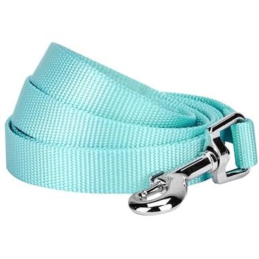 Blueberry Pet Essentials Mint Blue Dog Leash for Small 5 58 Dogs Heavy Duty Nylon Lead Lightweight Puppy Cat Leash for Walking Training
