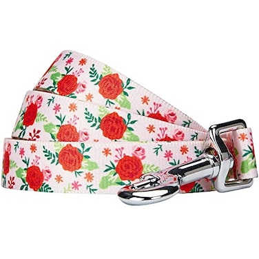 Blueberry Pet Essentials Spring Scent Inspired Garden Floral Dog Leash in Baby Pink 5 ft x 34 Medium Leashes for Dogs