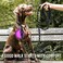COOYOO 2 Pack Dog Leash 5 FT Heavy Duty Comfortable Padded Handle Reflective Dog Leash for Medium Large Dogs with Collapsible Pet Bowl